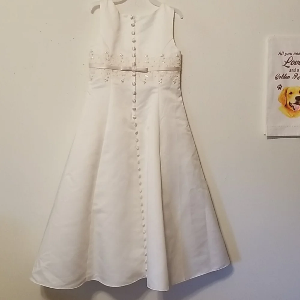 David's Bridal Michael Angelo Dress - Picture 3 of 6